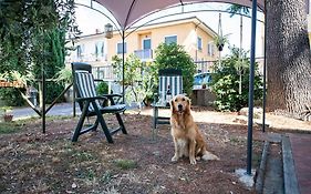 Easy Florence Scandicci